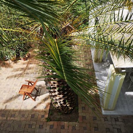 B&B La Salamandra Kitchengarden Forio di Ischia エクステリア 写真