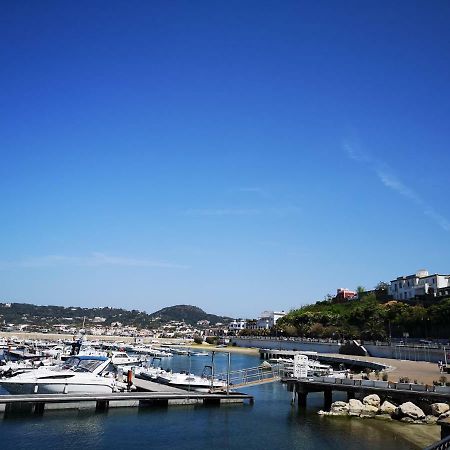 B&B La Salamandra Kitchengarden Forio di Ischia エクステリア 写真