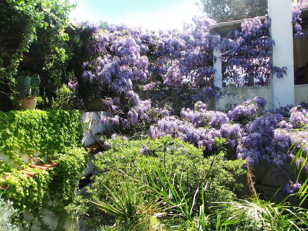 B&B La Salamandra Kitchengarden Forio di Ischia エクステリア 写真
