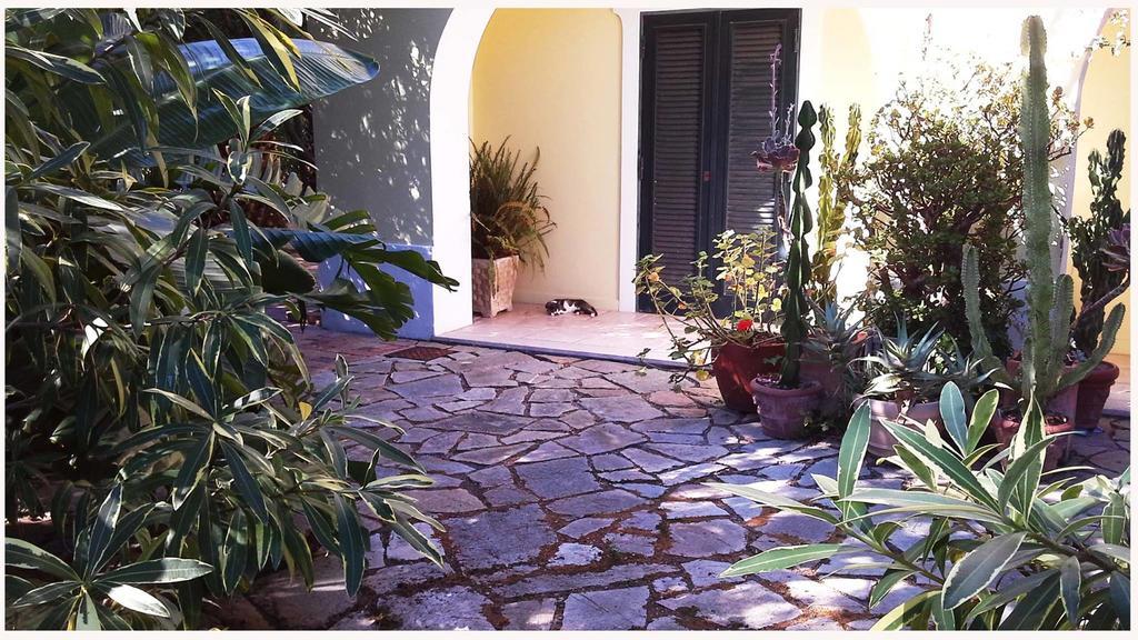 B&B La Salamandra Kitchengarden Forio di Ischia エクステリア 写真
