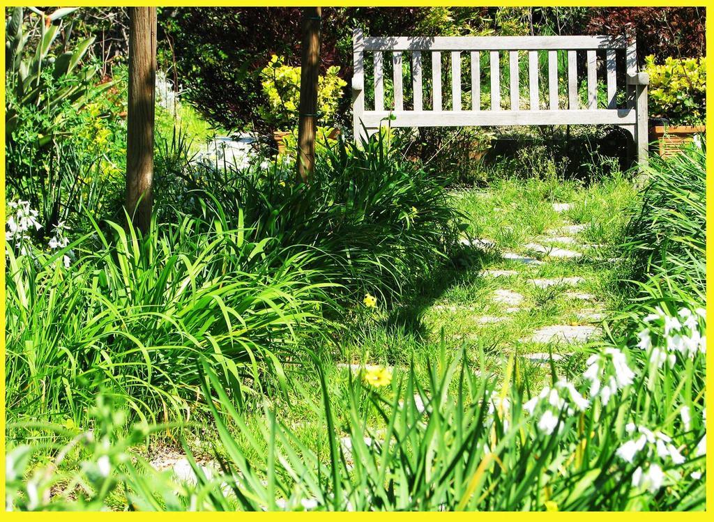 B&B La Salamandra Kitchengarden Forio di Ischia エクステリア 写真