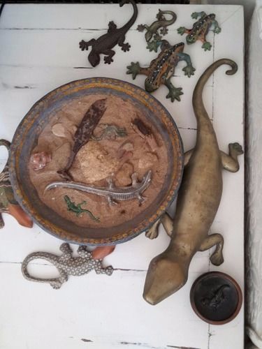 B&B La Salamandra Kitchengarden Forio di Ischia エクステリア 写真