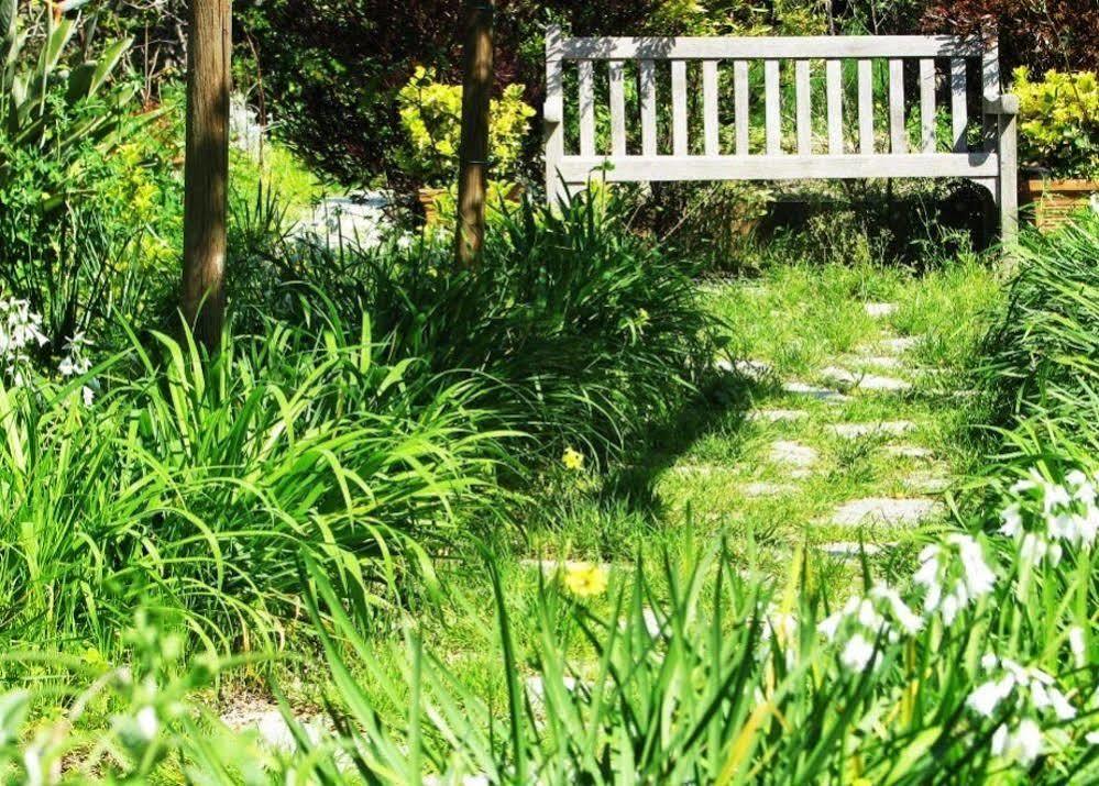 B&B La Salamandra Kitchengarden Forio di Ischia エクステリア 写真