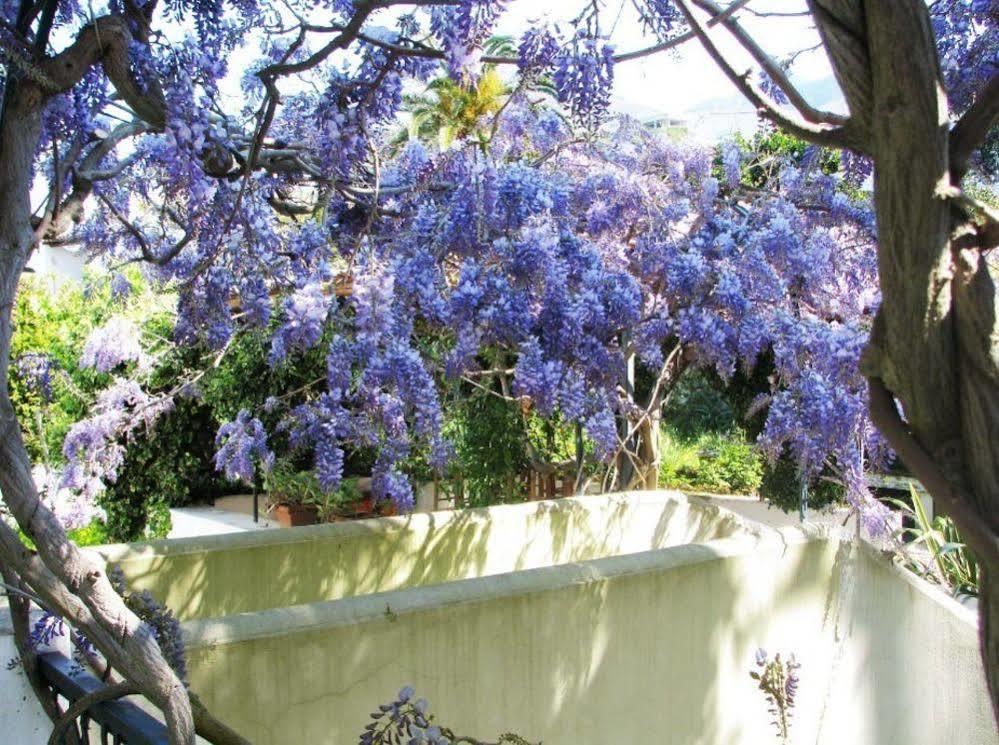 B&B La Salamandra Kitchengarden Forio di Ischia エクステリア 写真