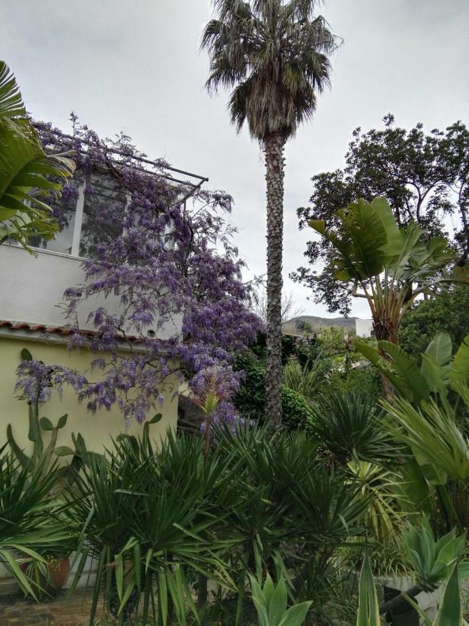 B&B La Salamandra Kitchengarden Forio di Ischia エクステリア 写真
