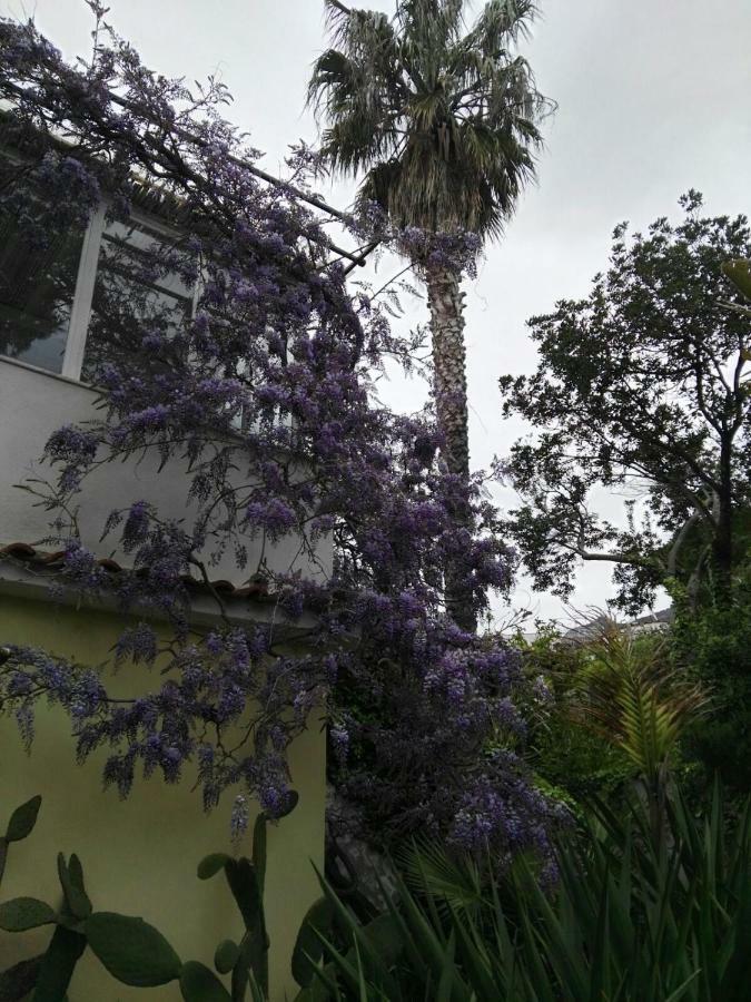 B&B La Salamandra Kitchengarden Forio di Ischia エクステリア 写真