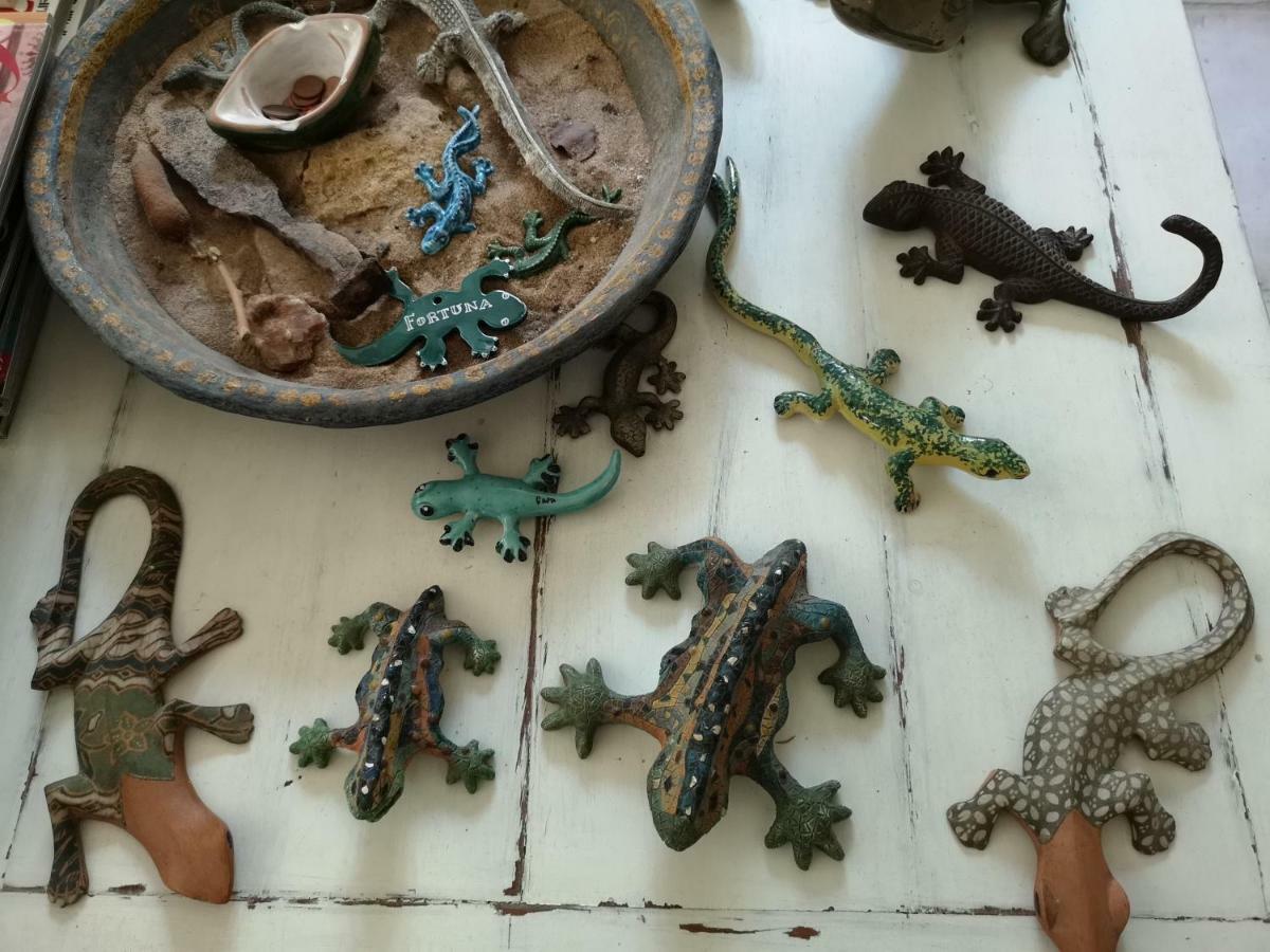 B&B La Salamandra Kitchengarden Forio di Ischia エクステリア 写真