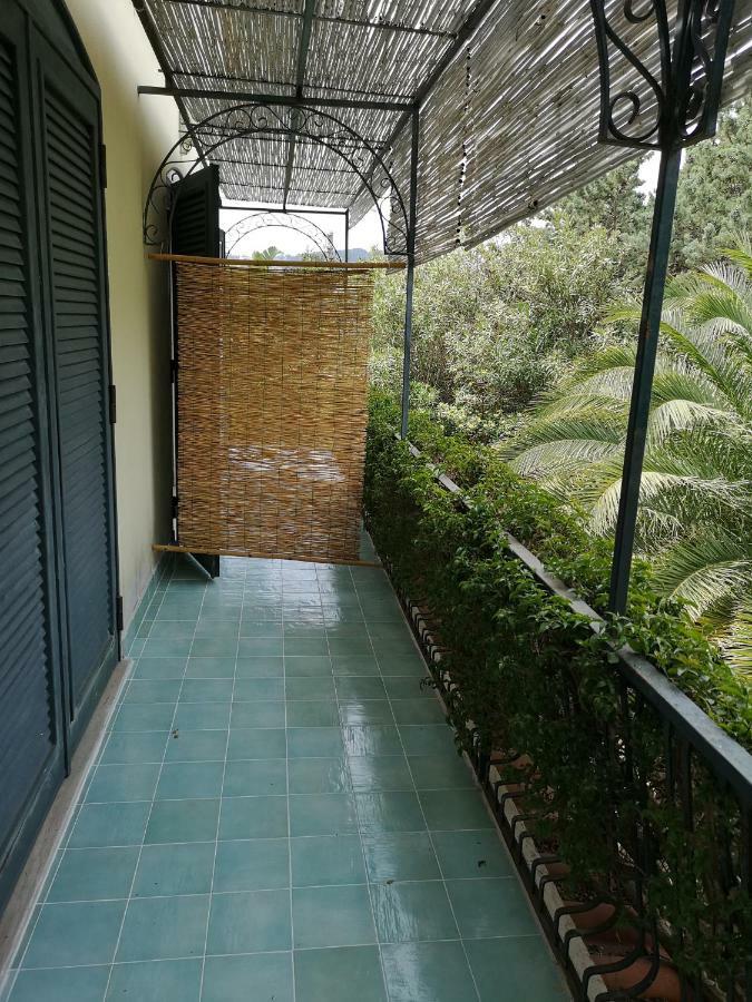 B&B La Salamandra Kitchengarden Forio di Ischia エクステリア 写真