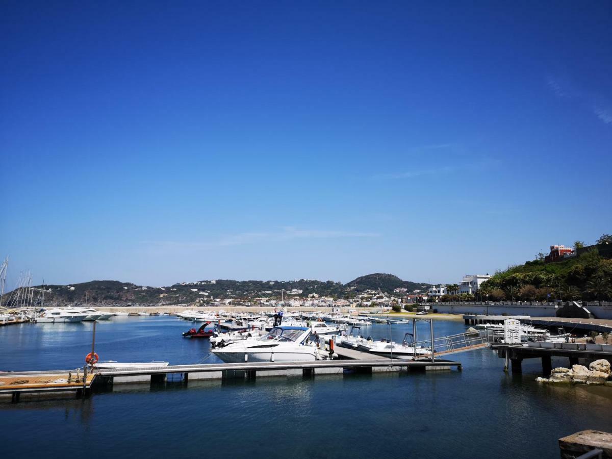 B&B La Salamandra Kitchengarden Forio di Ischia エクステリア 写真