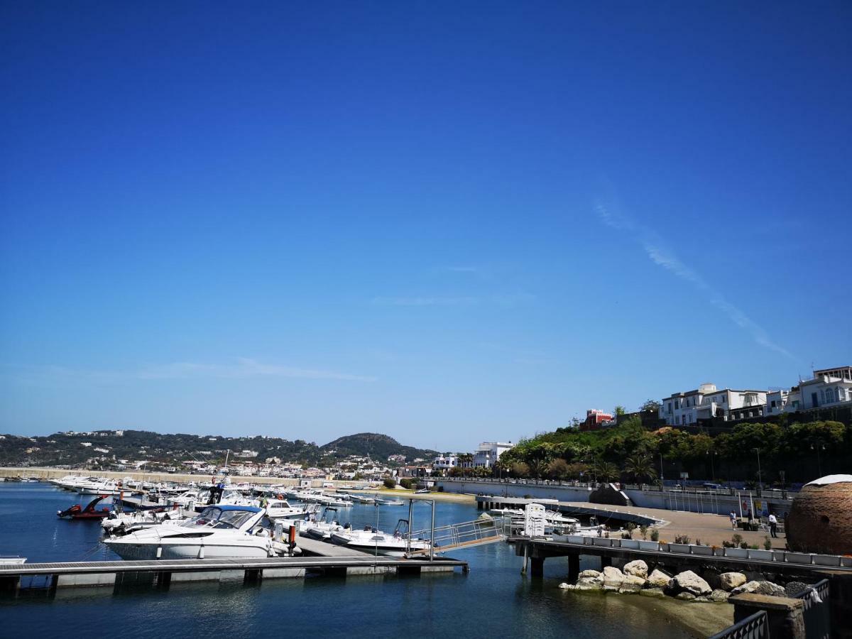 B&B La Salamandra Kitchengarden Forio di Ischia エクステリア 写真
